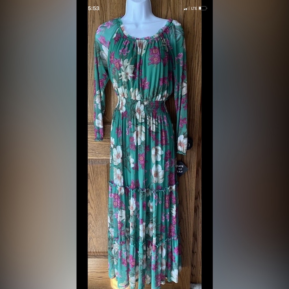NWT Kate and Lily Garden Party Dress. Size 4. Sheer Sleeves.